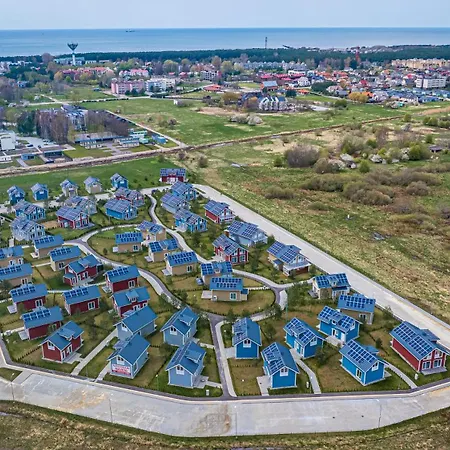 Blueberry - Mėlynė * Palanga